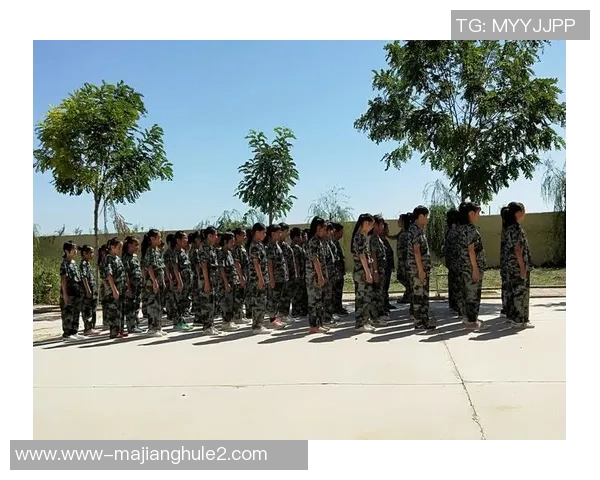 王强畅谈和平精英职业生涯中的挑战与成长经历